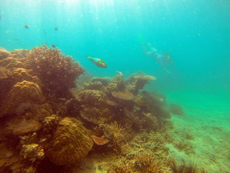 DCIM\101GOPRO