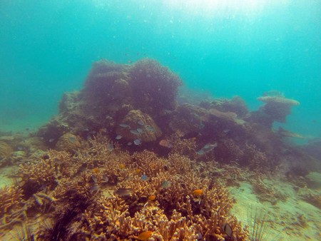 DCIM\101GOPRO
