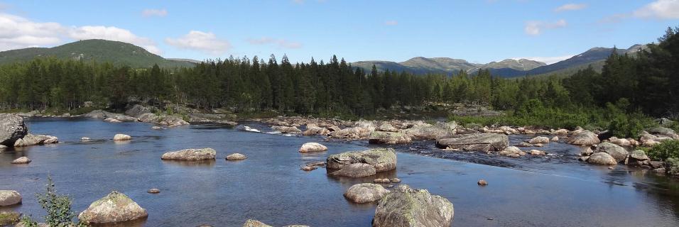 Radreise durch Norwegen